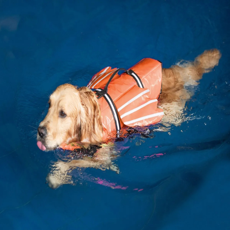 Giubbotto Salvagente per Cani  - Life Jacket recensione e prezzo