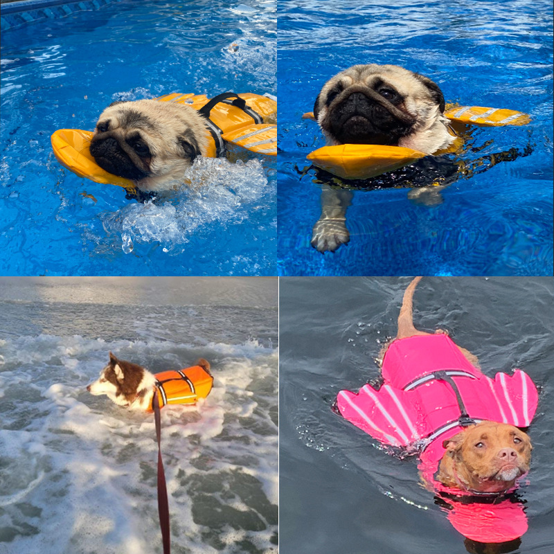 Giubbotto Salvagente per Cani  - Life Jacket recensione e prezzo